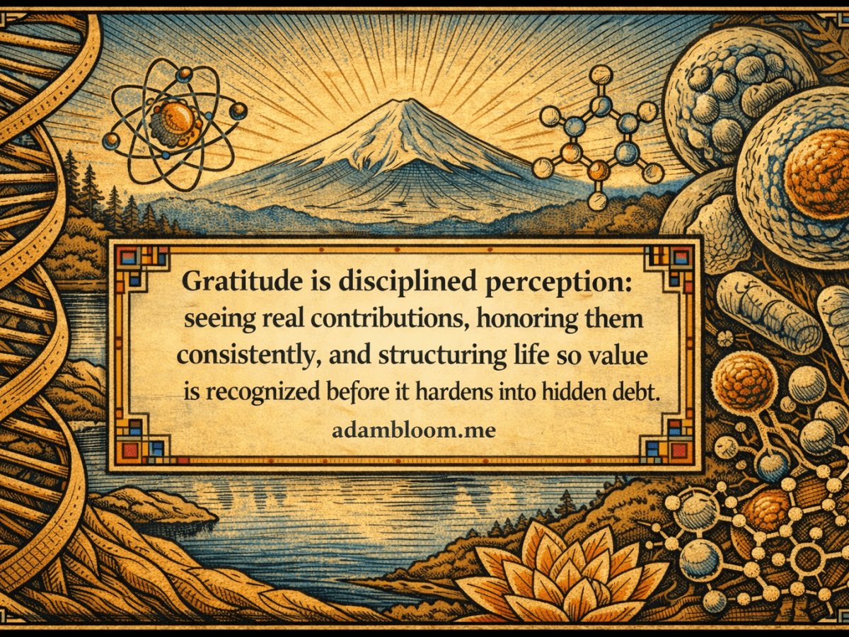 Daily Gratitude –&nbsp;26.02.01